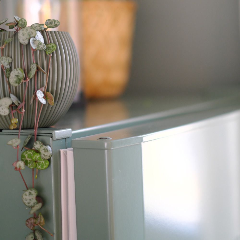 Detailaufnahme der salbeigrünen Kühlschrank-Ecke mit hängender Herzblatt-Pflanze