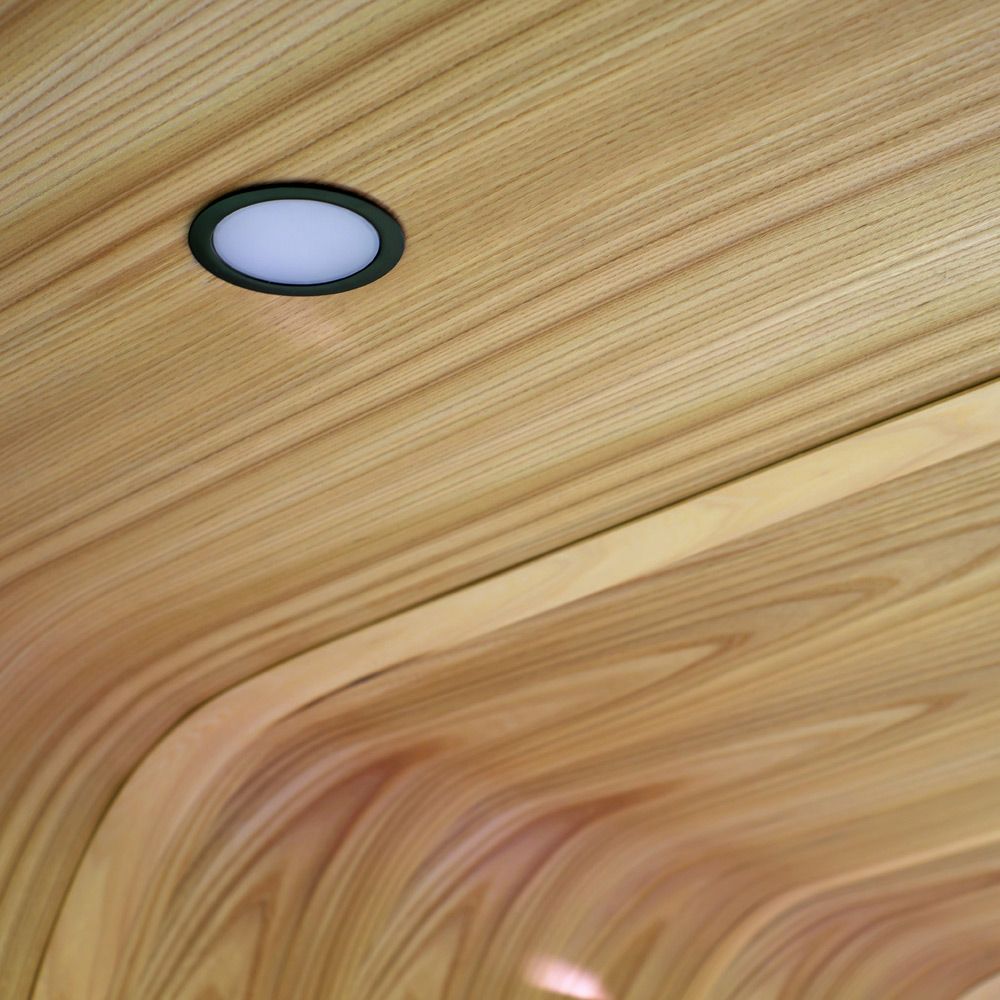 LED-Einbauleuchte in furnierter Eschenholz-Decke des Camper-Innenausbaus, Detailaufnahme