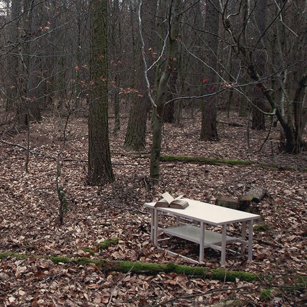 Wohnzimmertisch Dachs aus Eiche klein inszeniert in kahlem Herbstwald mit Laub und Bäumen